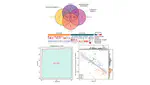 Design of Biomarkers