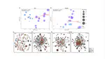 Effect of a bioconverted product of Lotus corniculatus seed on the axillary microbiome and body odor